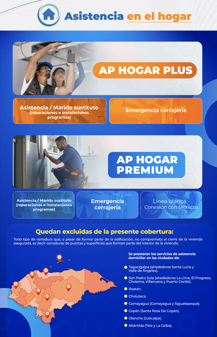 Asistencia hogar