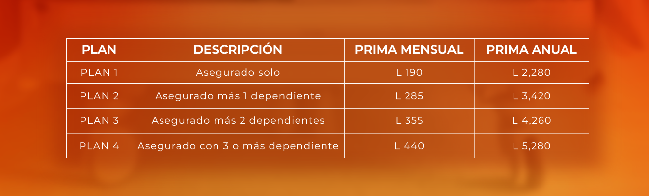 Detalle Conoce nuestros planes